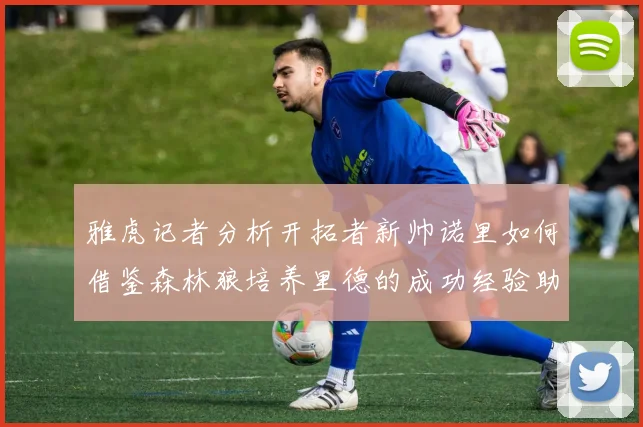 雅虎记者分析开拓者新帅诺里如何借鉴森林狼培养里德的成功经验助力杨瀚森